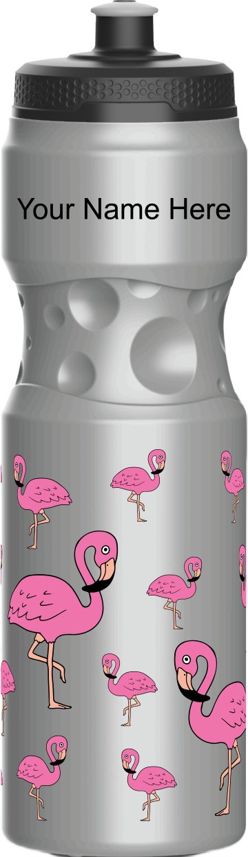 Flamingo Water Bottles
