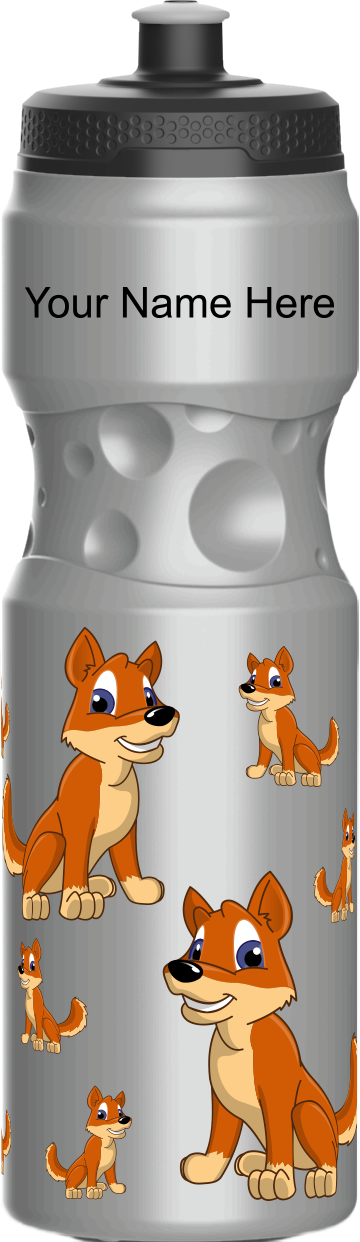 Dizzie Dingo Water Bottle