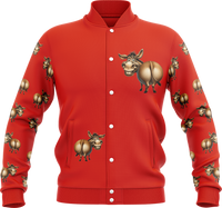 Donkey Varsity Jacket 5