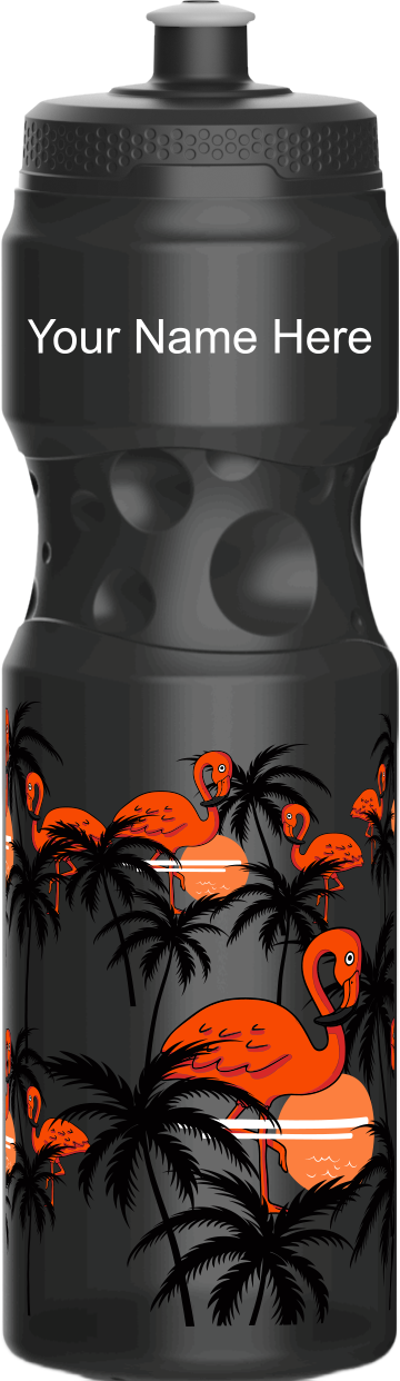 Miami Vice Water Bottles
