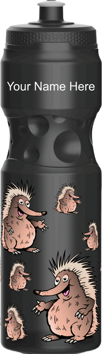 Spunky Echinda Water Bottle 7