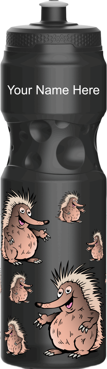 Spunky Echinda Water Bottle