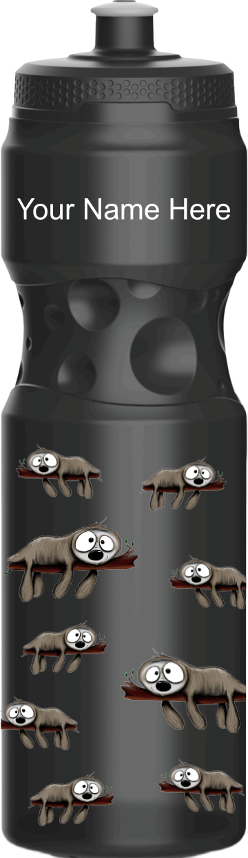 Snoozy Sloth Water Bottles