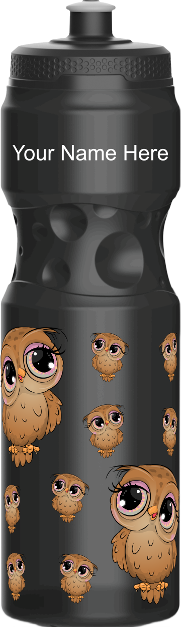 Owl Water Bottles