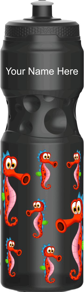 Sassy Seahorse Water Bottles