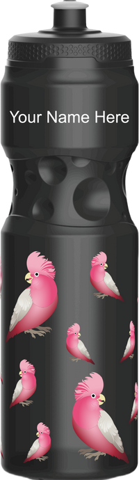 Glama Galah Water Bottles 7