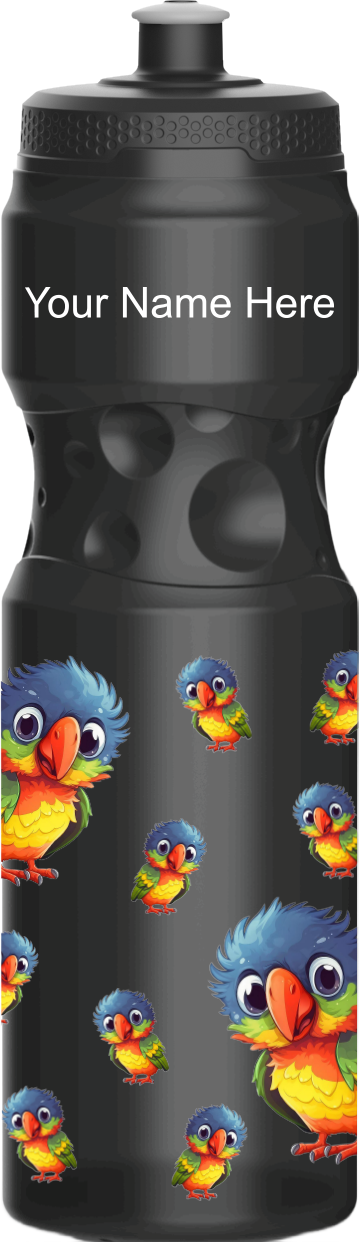 Rainbow Lorikeet Water Bottles