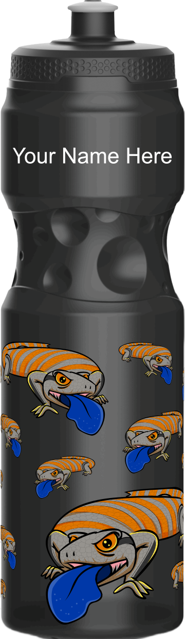 Bluey Lizards Water Bottles