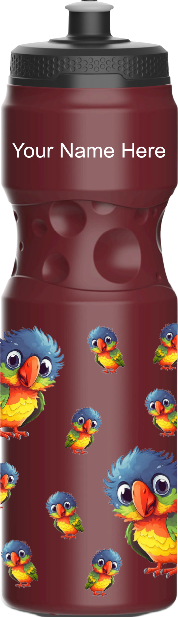 Rainbow Lorikeet Water Bottles