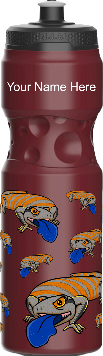 Bluey Lizards Water Bottles