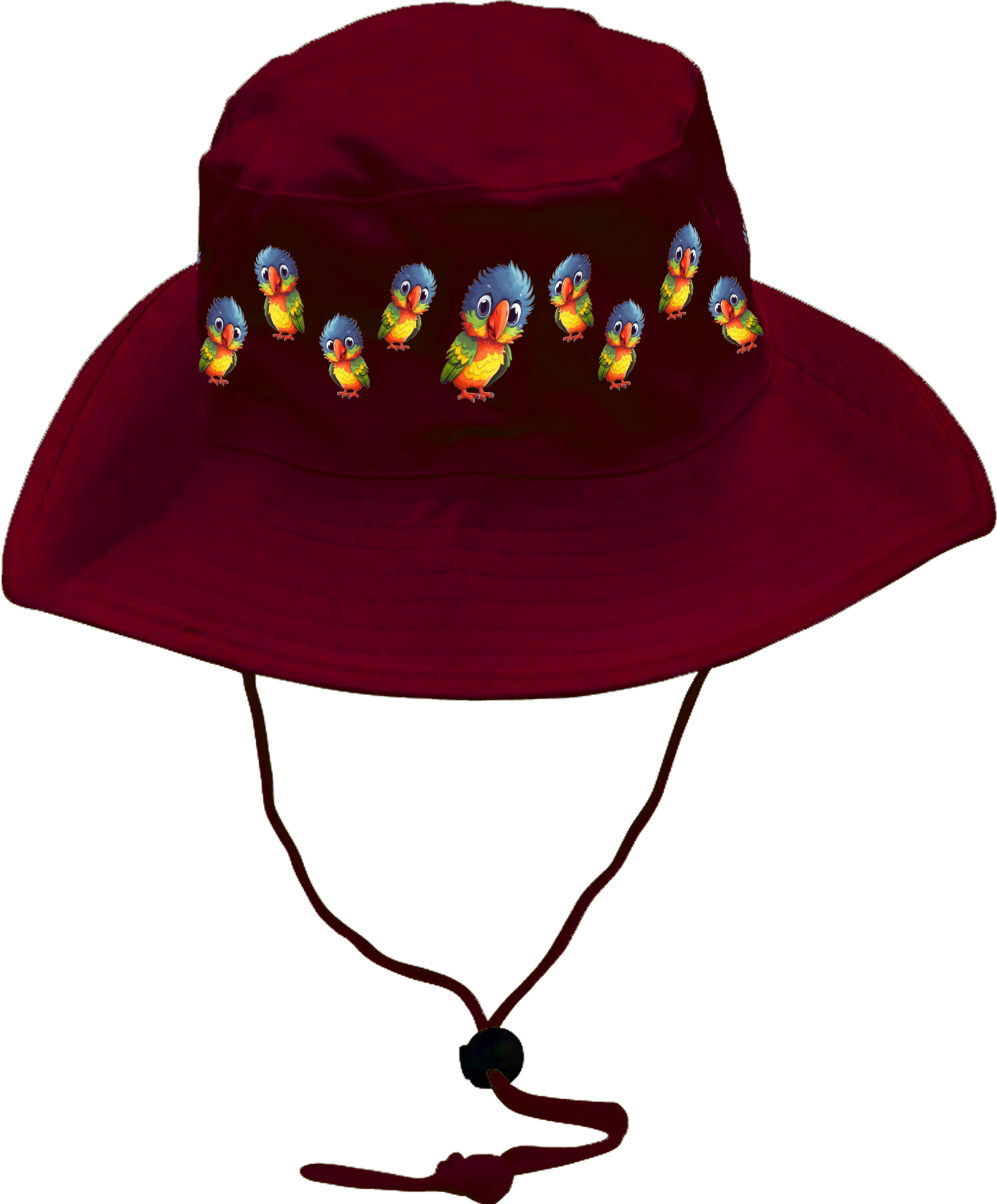 Rainbow Lorikeet  Wide Brim Hat