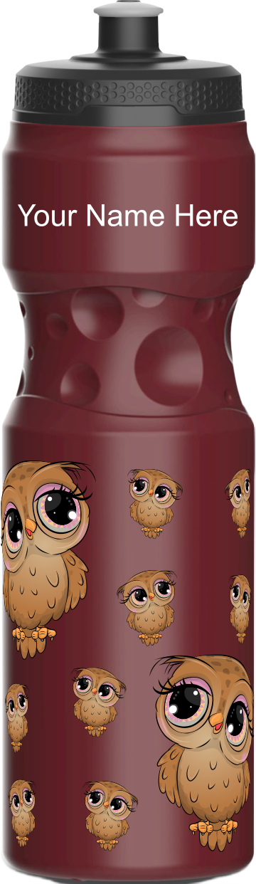 Owl Water Bottles