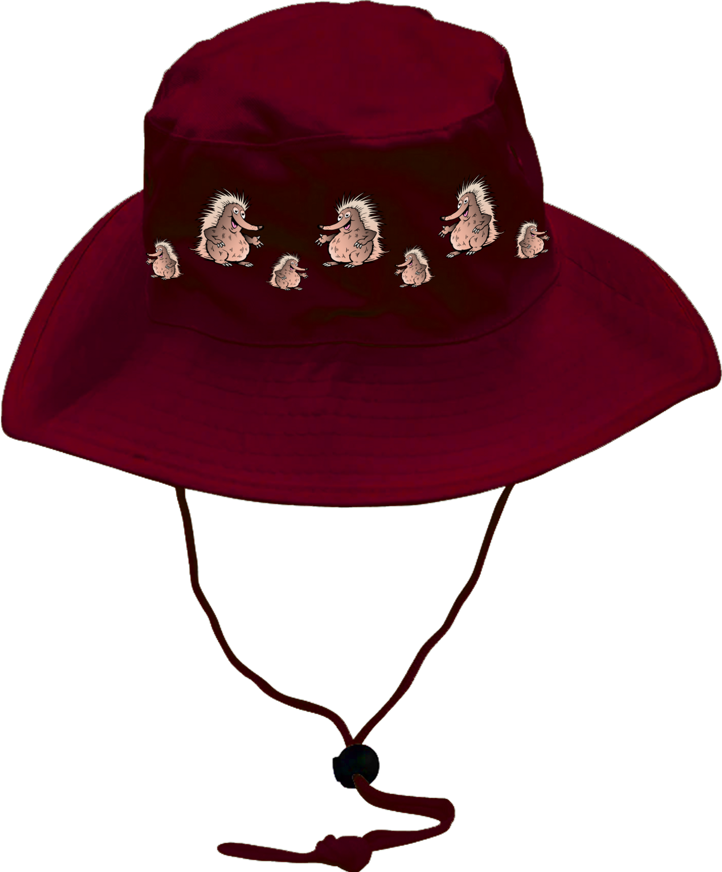Spunky Echinda Wide Brim Hat