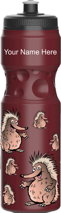 Spunky Echinda Water Bottle 8