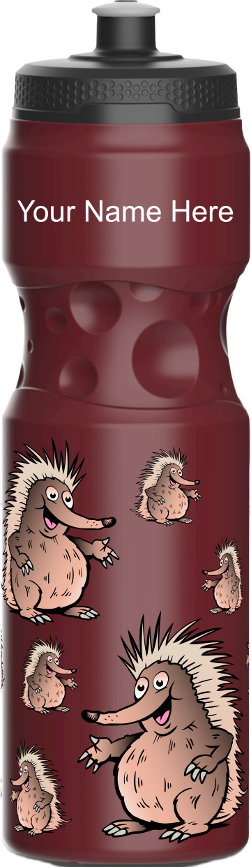 Spunky Echinda Water Bottle