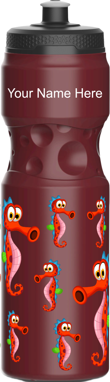 Sassy Seahorse Water Bottles