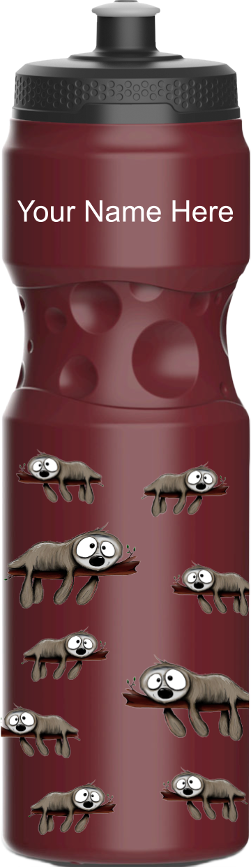 Snoozy Sloth Water Bottles