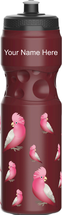 Glama Galah Water Bottles 8