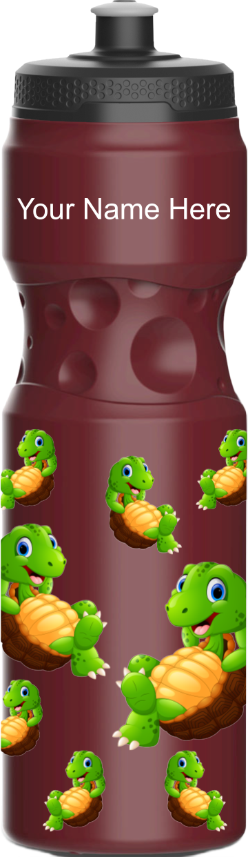 Top Turtle Water Bottle