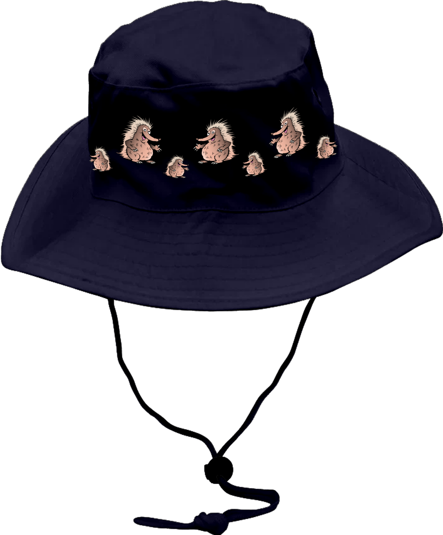 Spunky Echinda Wide Brim Hat