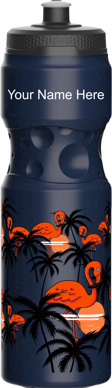 Miami Vice Water Bottles