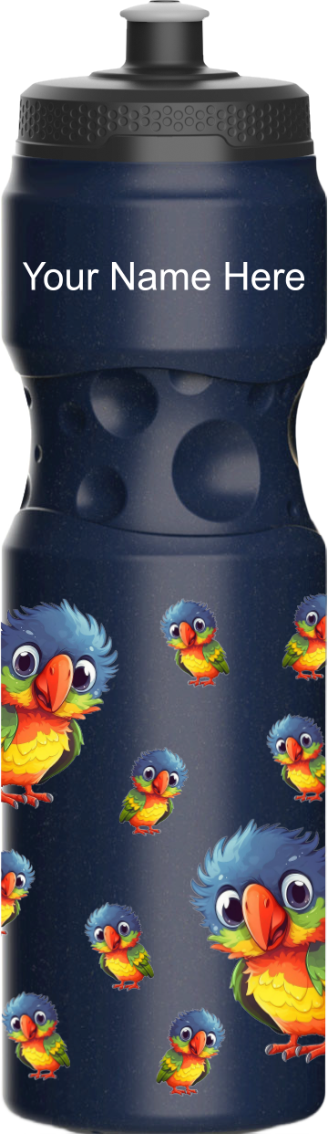 Rainbow Lorikeet Water Bottles