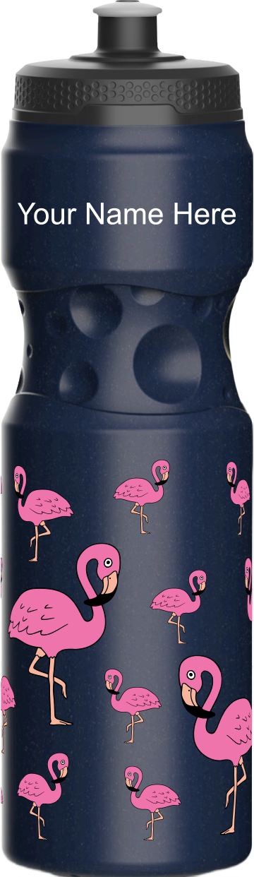 Flamingo Water Bottles