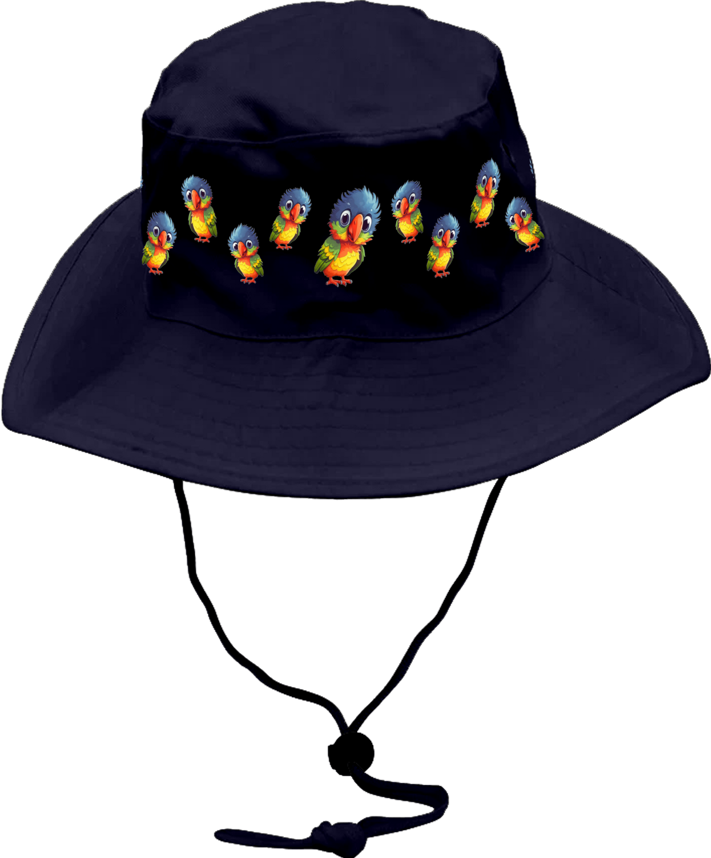 Rainbow Lorikeet  Wide Brim Hat