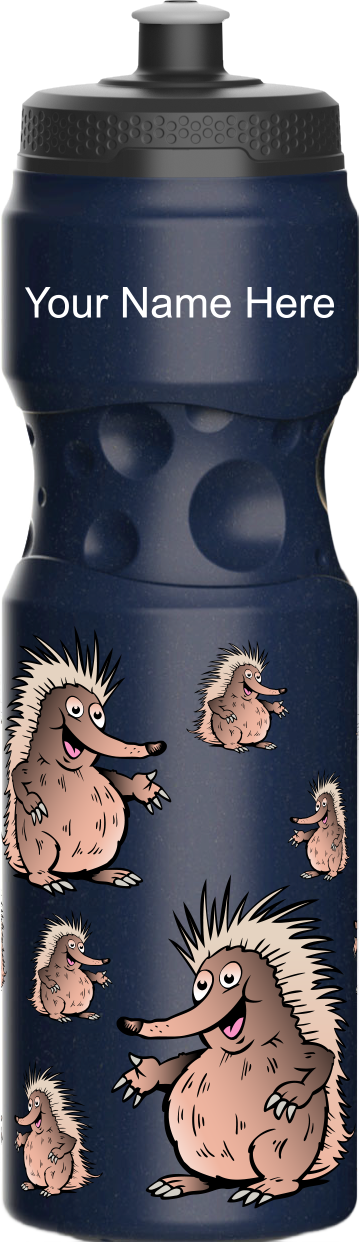 Spunky Echinda Water Bottle