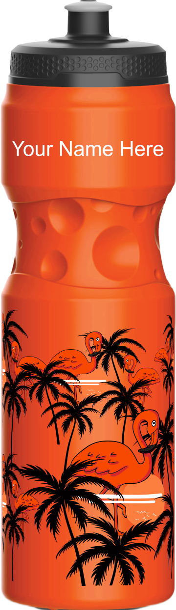 Miami Vice Water Bottles