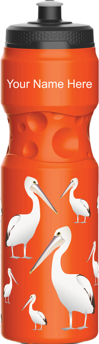 Pesky Pelican Water Bottles 10
