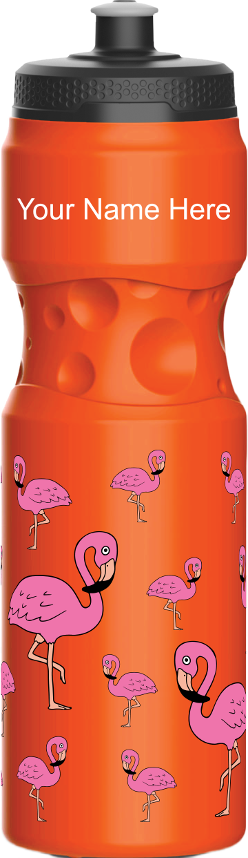Flamingo Water Bottles