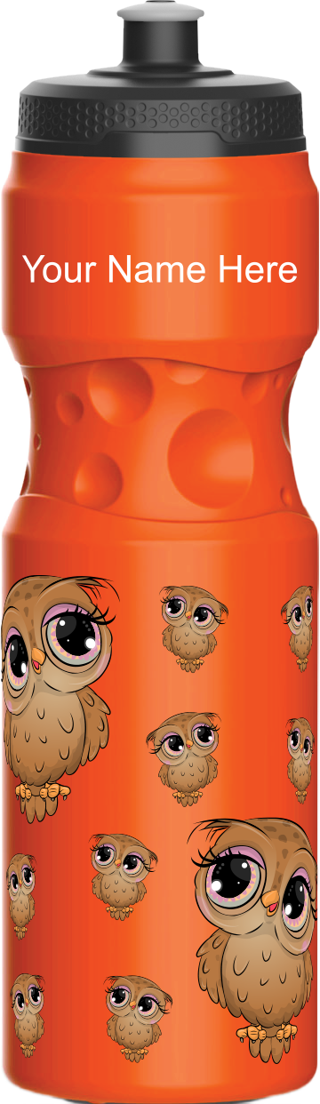 Owl Water Bottles