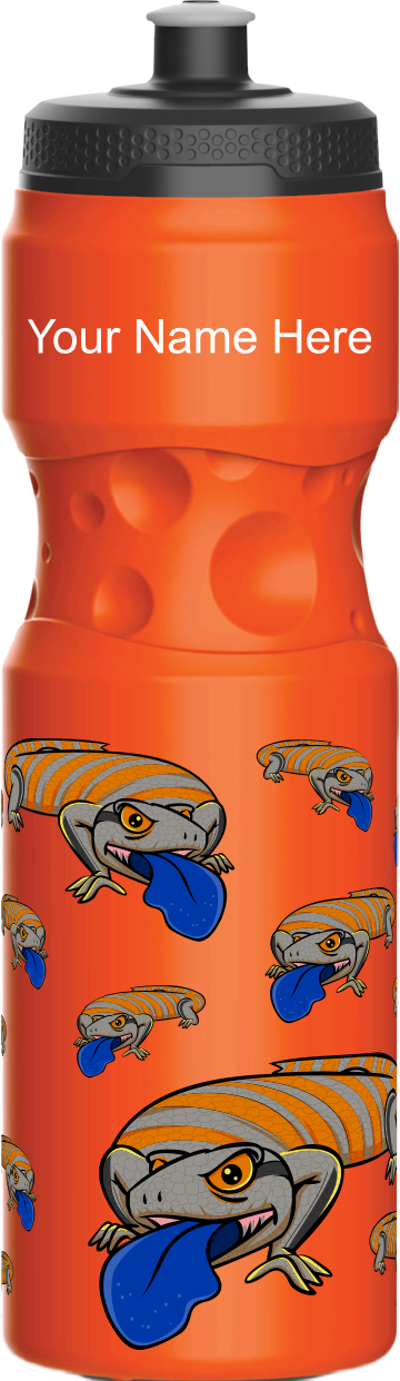 Bluey Lizards Water Bottles