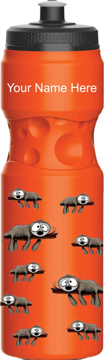 Snoozy Sloth Water Bottles