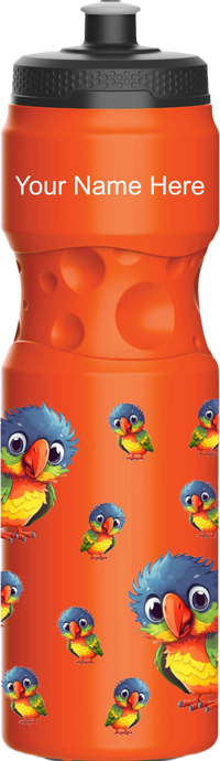 Rainbow Lorikeet Water Bottles 10