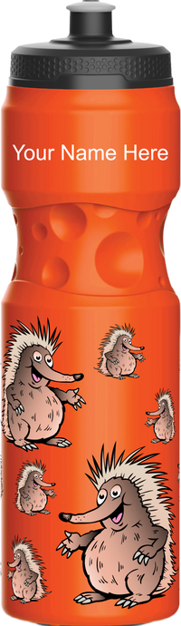 Spunky Echinda Water Bottle 10