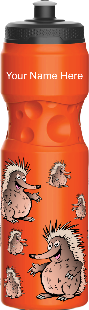 Spunky Echinda Water Bottle