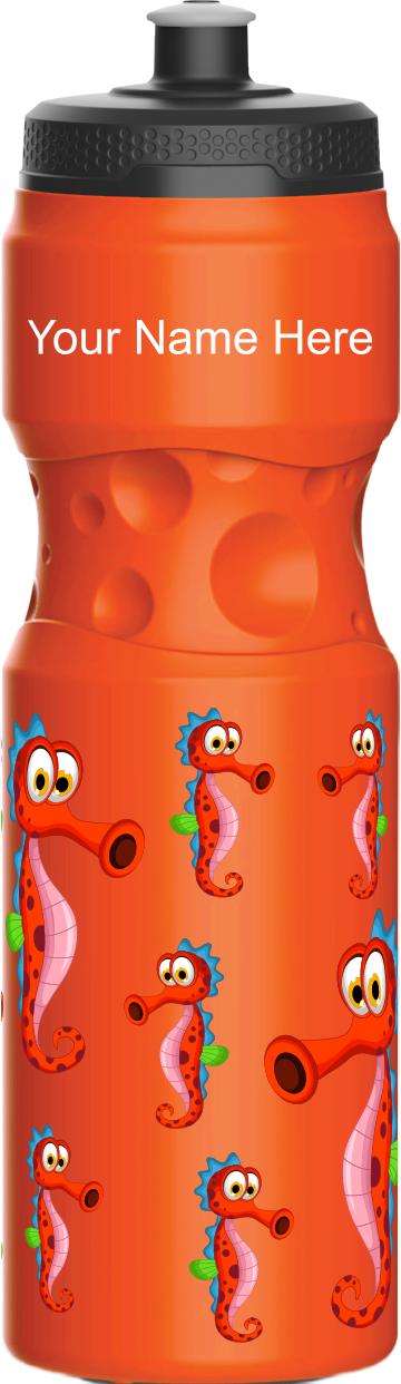 Sassy Seahorse Water Bottles