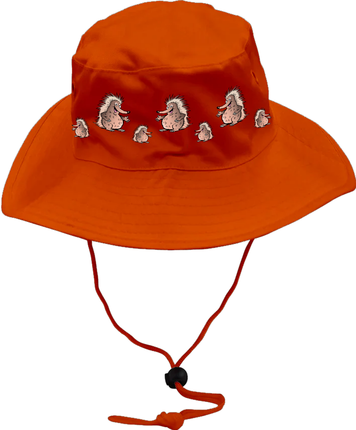 Spunky Echinda Wide Brim Hat