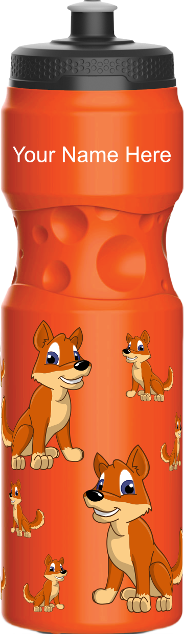 Dizzie Dingo Water Bottle