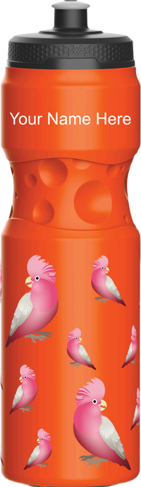Glama Galah Water Bottles 10
