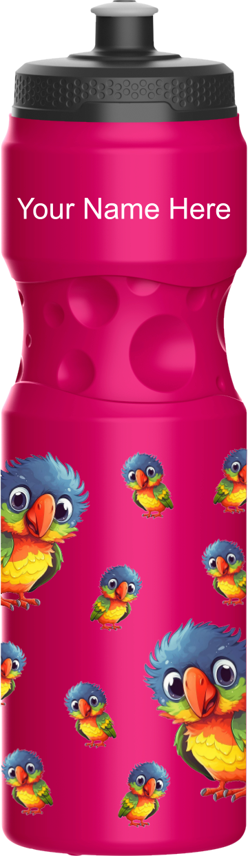 Rainbow Lorikeet Water Bottles