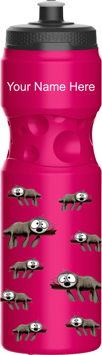 Snoozy Sloth Water Bottles