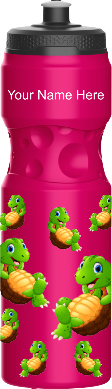 Top Turtle Water Bottle
