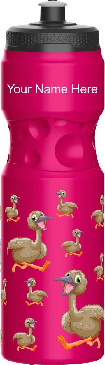 Effie Emu Water Bottles