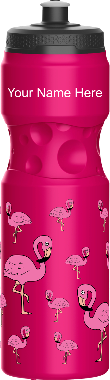 Flamingo Water Bottles