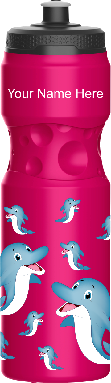 Dolphins Water Bottle