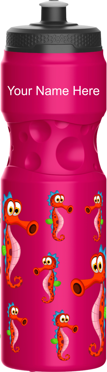 Sassy Seahorse Water Bottles