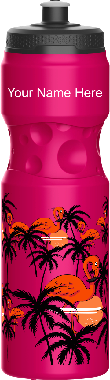 Miami Vice Water Bottles